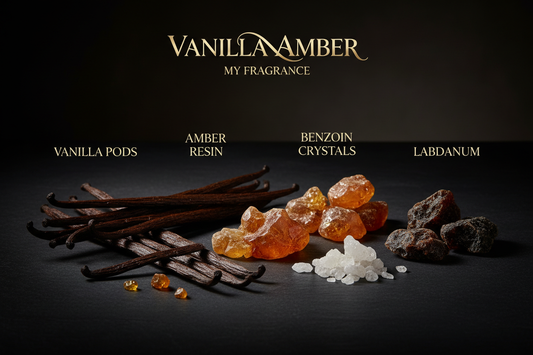 Vanilla Amber Notes